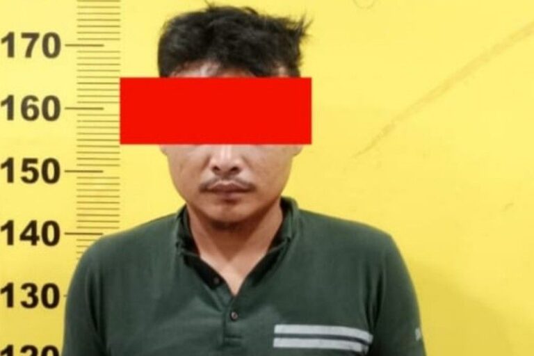 Kurang Licin, Pengedar Sabu di Sumut Ditangkap Polisi