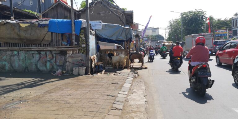 Penjual Nanas dan Alat Bakar Sate Musiman Menjamur