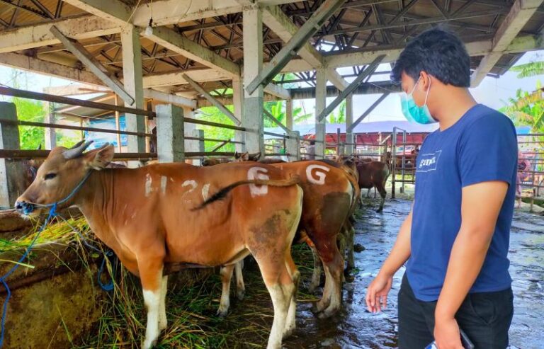 Masyarakat Diminta Lapor Jika Temukan Hewan Kurban Sakit