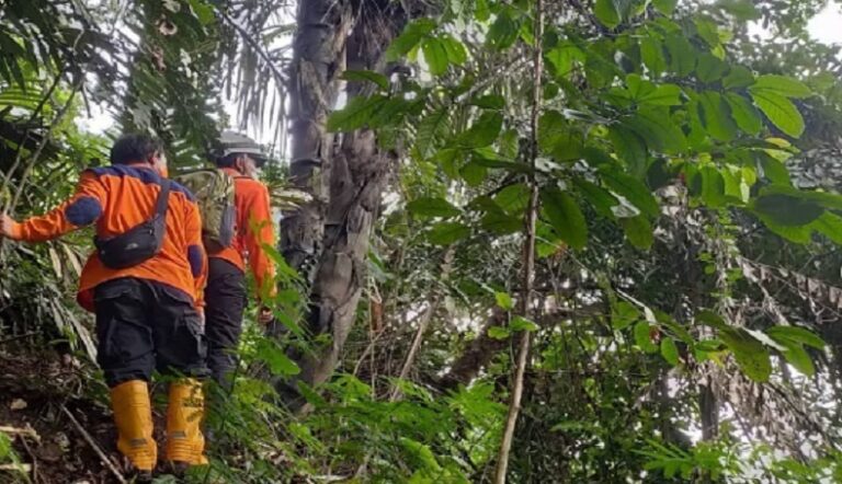 Pelari Lintas Alam Hilang di Gunung, Panitia Kerahkan 95 Personel Lakukan Pencarian