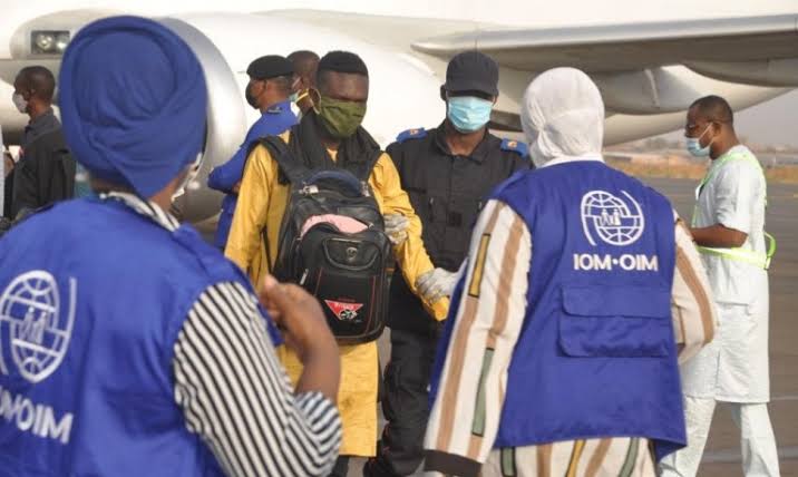 IOM : Sebanyak 9 Juta Migran Internasional Tinggal di Mesir