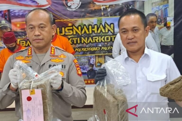 Polrestabes Palembang Tangkap Dua Tersangka Pengedar Ganja Jaringan Maluku