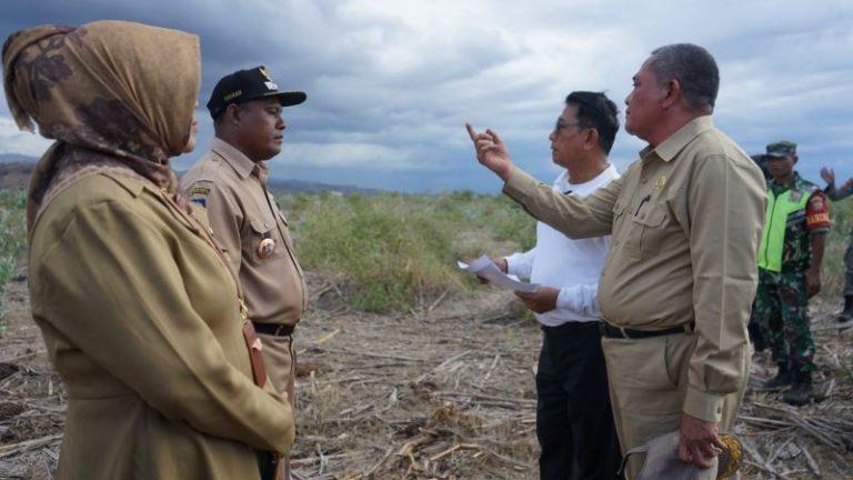 Tinjau Lahan di Bima, Moeldoko: Cocok untuk Perluasan Tanam Sorgum