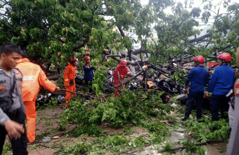 Korban Pohon Tumbang di Balai Kota DKI Jakarta Bertambah