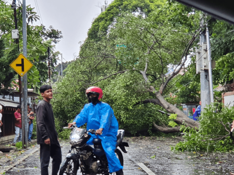 Hujan Deras, Tujuh Mobil Tertimpa Pohon di Area Parkir Kalibata City