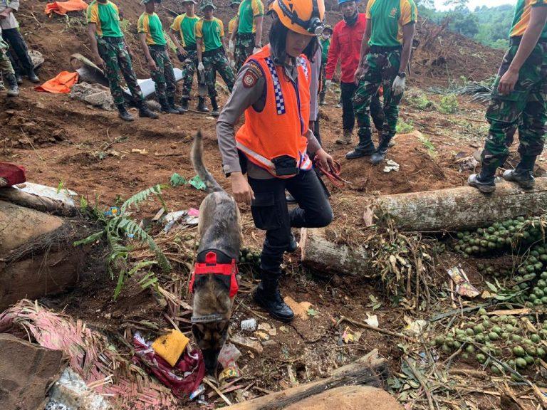 Anjing Pelacak Temukan Titik Diduga Korban Tertimbun Longsor Cianjur