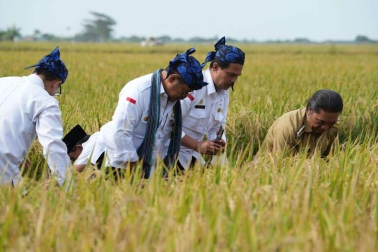 Terdampak Banjir, Petani di Karawang Diminta Tidak Menyerah