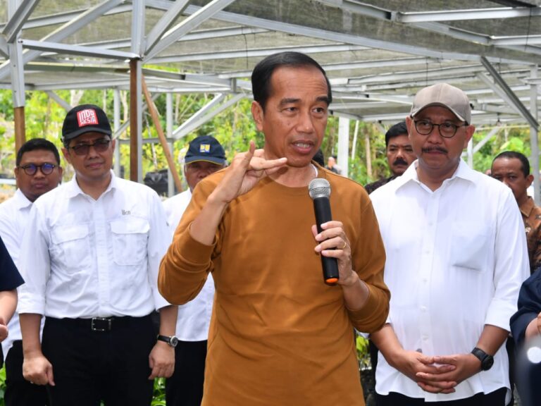 Jokowi Optimis Investor Tertarik untuk Tanamkan Modalnya di IKN