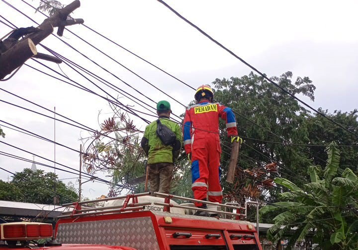 Petugas BPBD Bersama Pemadam Kebakaran Evakuasi Pohon Tumbang di Jakarta