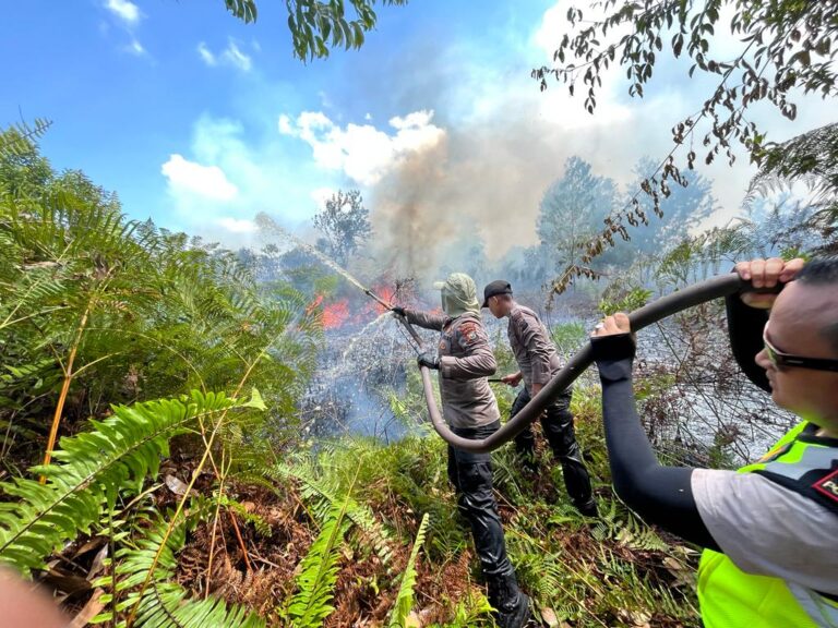 Polda Riau Tetapkan 7 Tersangka Karhutla, Luas Lahan Terbakar 1.500 Ha