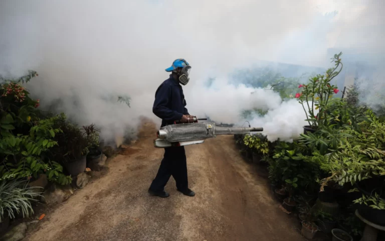 Kasus Terus Naik, Vietnam Waspada Demam Berdarah