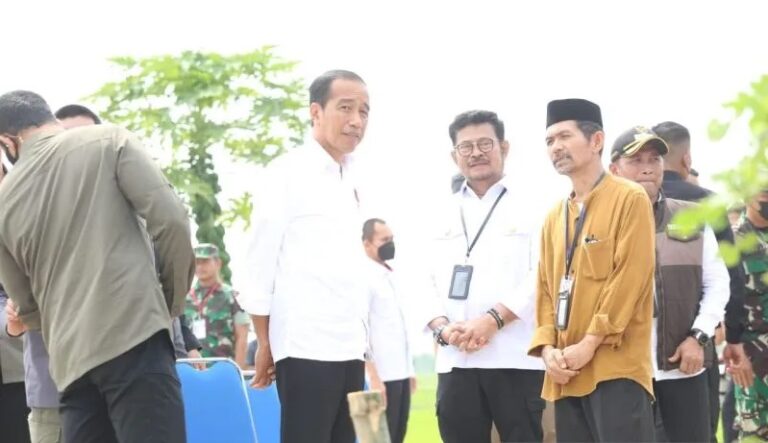 Jokowi: Antisipasi Musim Kemarau Akibat El Nino