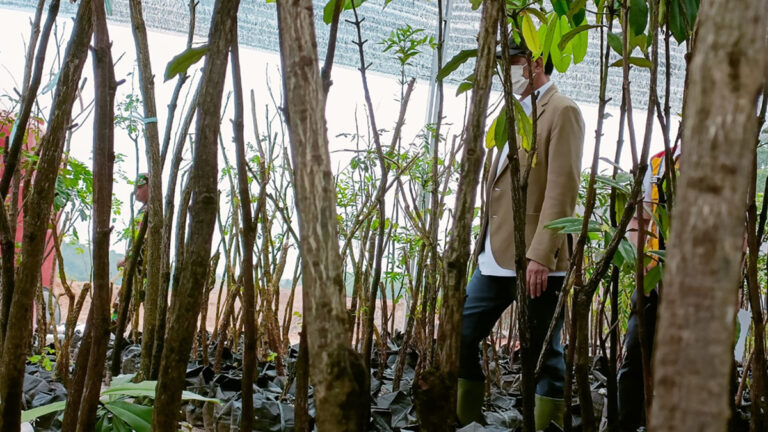 Nuansa Hutan Avatar di IKN Nusantara