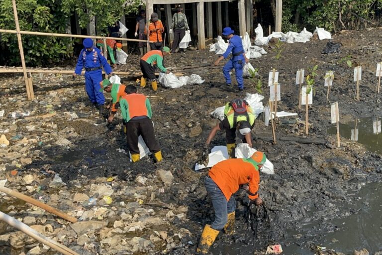 Ratusan Personel Gabungan Dikerahkan Bersihkan Sampah di Hutan Mangrove