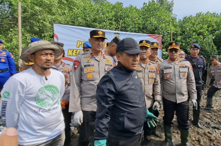 Tujuan Kapolda Metro Ajak Bersihkan Sampah di Hutan Mangrove