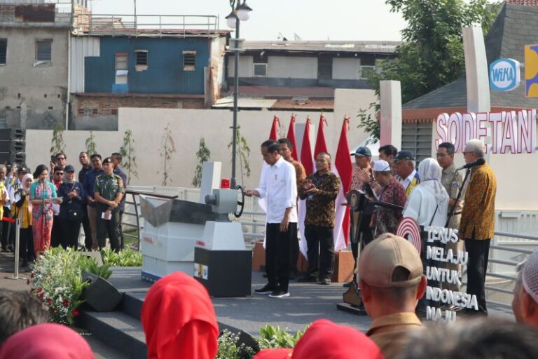 Jokowi Sebut Pemprov DKI Sempat Tak Tuntaskan Pembebasan Lahan Sodetan Ciliwung