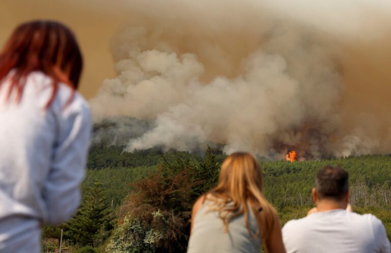 Taman Nasional Spanyol Terbakar, 3.000 Orang Dievakuasi