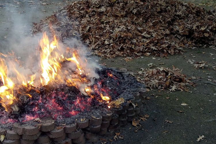 Bakar Sampah Sembarang di Tangerang Ditindak, Denda Rp 50 Juta