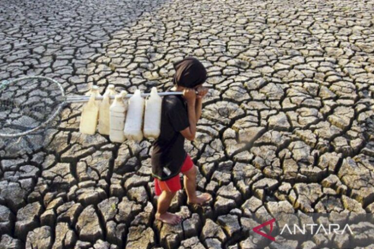 El Nino dan IOD Picu Kekeringan Parah di Indonesia