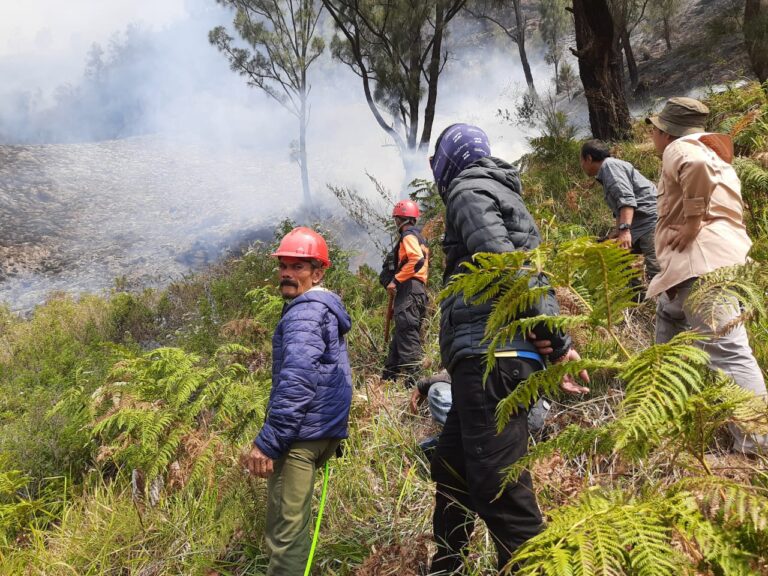 Bukit Teletubies di TN Gunung Bromo Tengger Semeru Terbakar