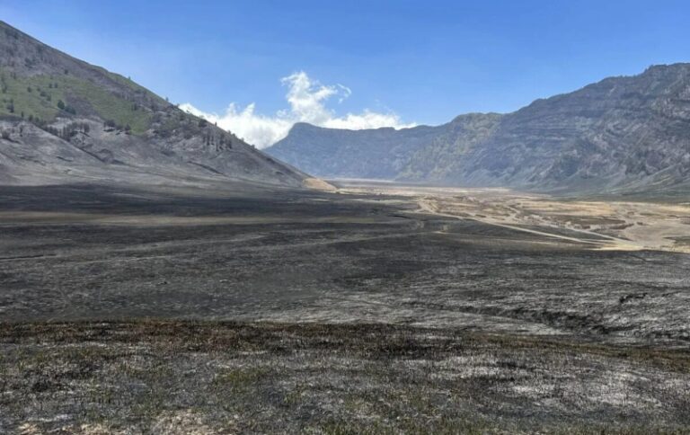 Kerugian Kebakaran Bromo Capai Rp89,7 Miliar