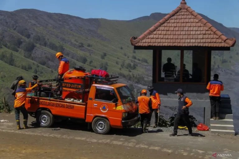 Karhutla Bromo Padam