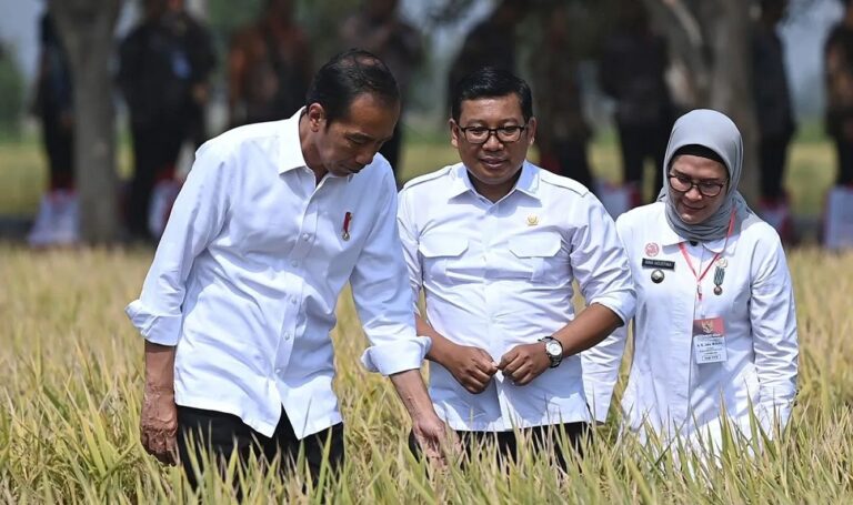 Sempat Disebut dalam Debat Capres, Apa Itu â€œFood Estateâ€?