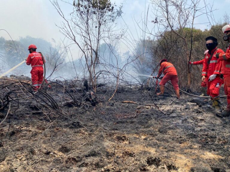 BPBD Riau: Sejak Januari Hingga Februari Karhutla Menurun Dibanding Tahun Lalu