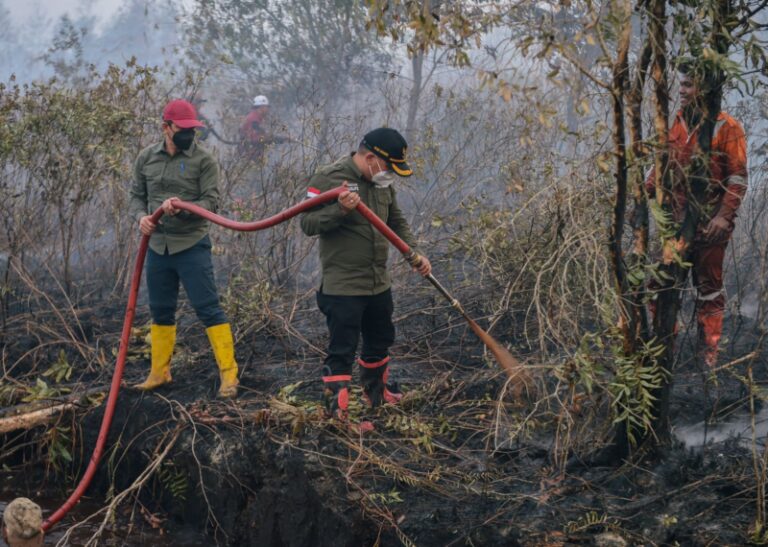 Kebakaran Kuala Cenaku Indragiri Hulu Padam Total, Riau Nihil Karhutla