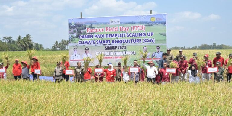 Petani Purbalingga Panen Padi Pakai Teknologi CSA, Apa Itu?