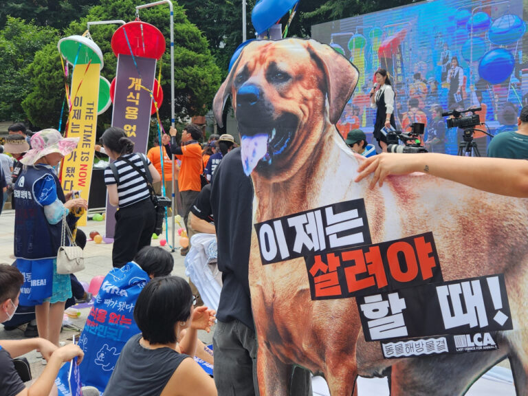 Korea Selatan Resmi Larang Warganya Konsumsi Daging Anjing