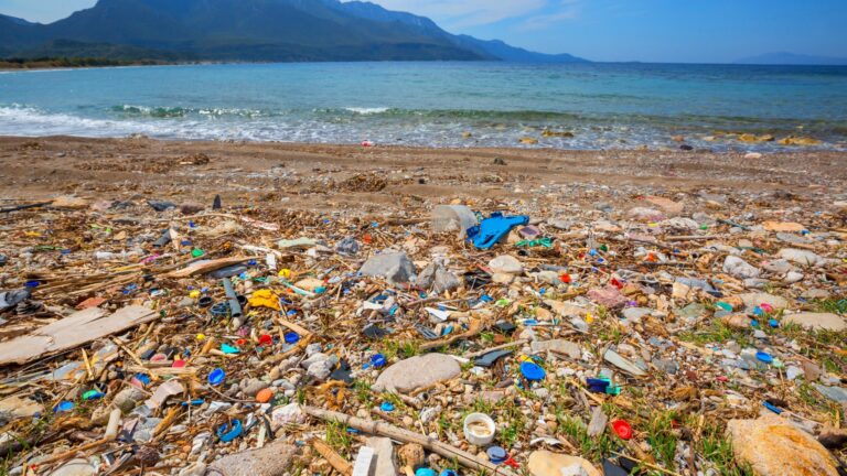 Ada Pulau Sampah di Samudera Pasifik, Kok Bisa?