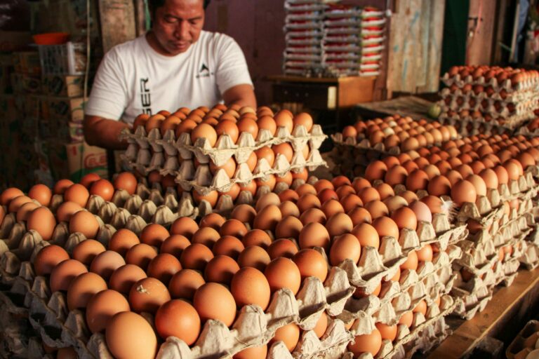 Daripada 1 Batang Rokok Mending Beli 1 Telur Atasi Stunting