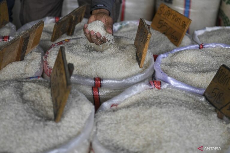 Bapanas Jamin Stok Pangan Aman Jelang Iduladha