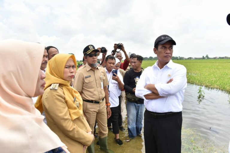 Petani Korban Banjir Demak Dapat Bantuan Pertanian dari Kementan