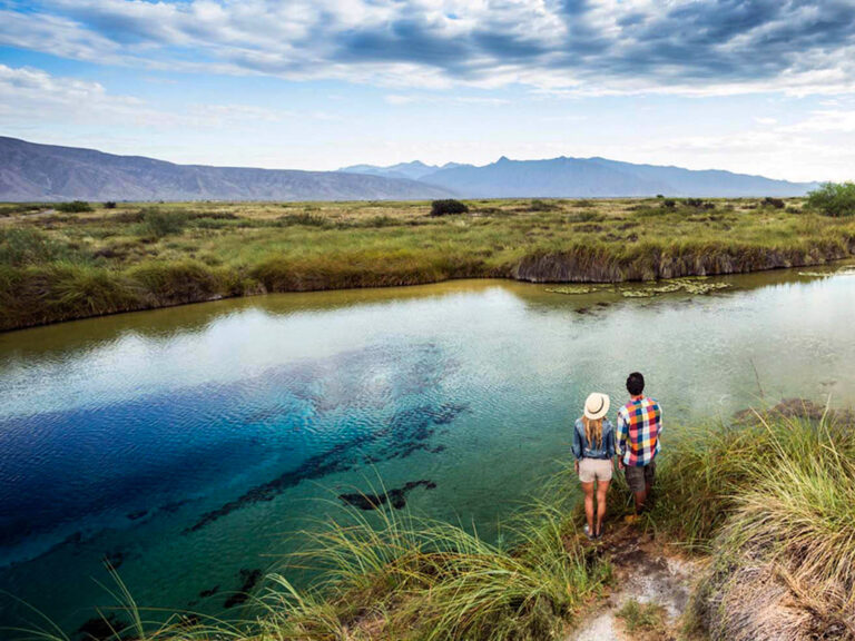 Oasis Padang Pasir di Meksiko Terancam Menghilang!