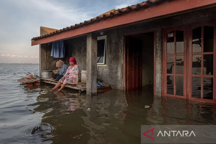 banjir rob, super new moon