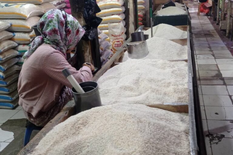 Produksi Beras RI Sempat Turun, Tapi Stok Idulfitri Aman