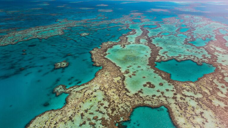 97 Persen Terumbu Karang di Great Barrier Reef, Mati