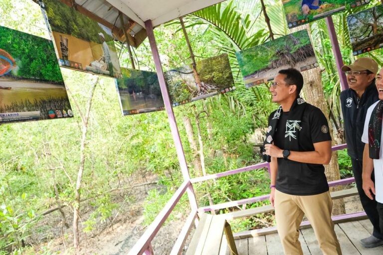 Kunjungi Wisata Mangrove Jambi, Sandiaga Pesan Begini