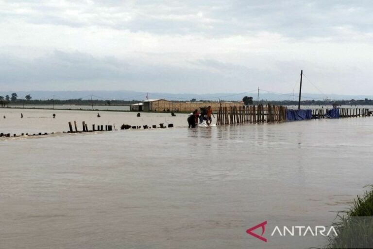 Enam Tanggul Jebol, 11 Kecamatan Kabupaten Demak Terendam Banjir