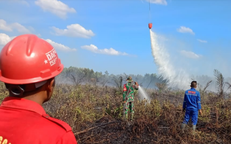 Tim Gabungan Berjuang Padamkan Karhutla Riau