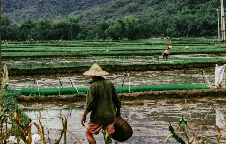 Curah Hujan akan Turun, Pj Gubernur Bey: Tingkatkan Produksi Sawah Tadah Hujan