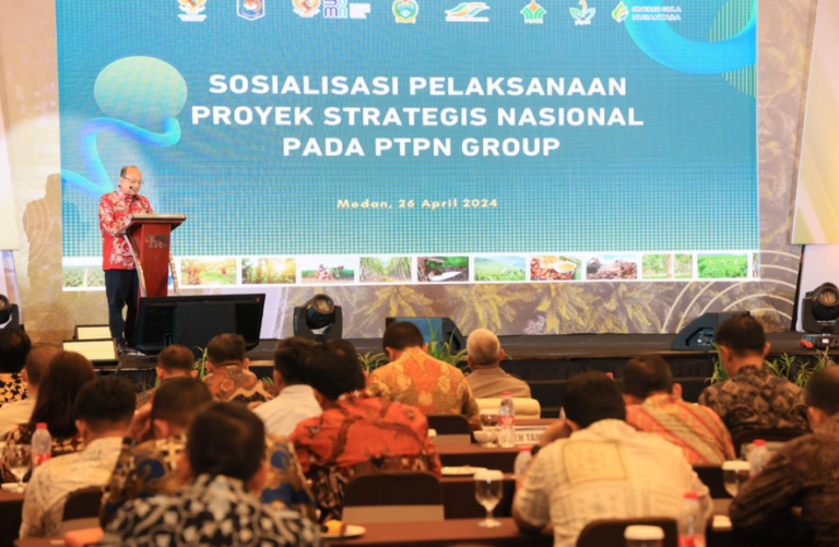 Kemendagri Dukung Pelaksanaan PSN Melalui Optimalisasi Kebijakan Fiskal Nasional