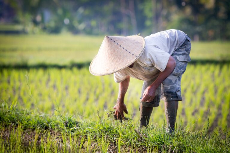 Tidak Hanya Alam, Pekerja Juga Terdampak Perubahan Iklim