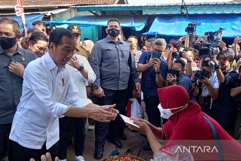 Tak Ada Rapor Merah, Ini Capaian 10 Tahun Kepemimpinan Jokowi