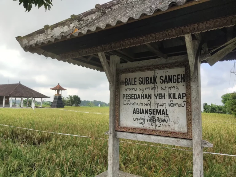 Subak di Bali Peradaban Hidrologi untuk Merawat Bumi