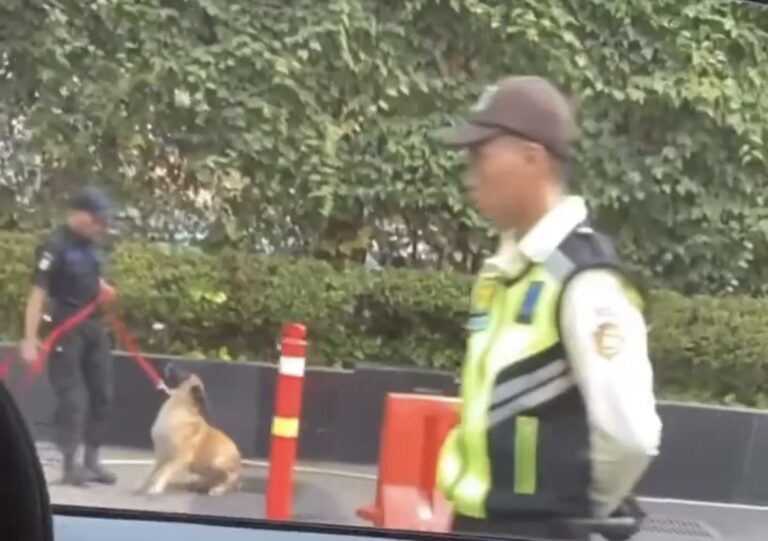 Viral Sekuriti Pukul Anjing Penjaga di Mal Plaza Indonesia, Ini Kata Polisi