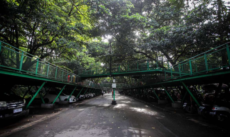 Forest Walk Babakan Siliwangi, Hutan di Jantung Kota Bandung