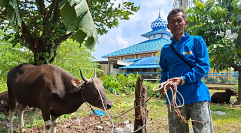 Kisah Buruh Bangunan di Riau, Nabung Setahun untuk Ikut Berkurban